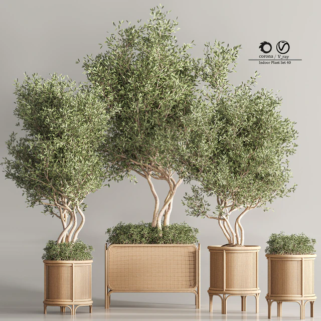 Indoor Plant Set 40 — Скачать