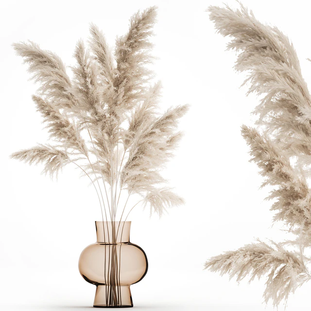 A beautiful lush bouquet of dried flowers in a vase with dry branches of pampas, Cortaderia, white reeds. 150. — Descargar
