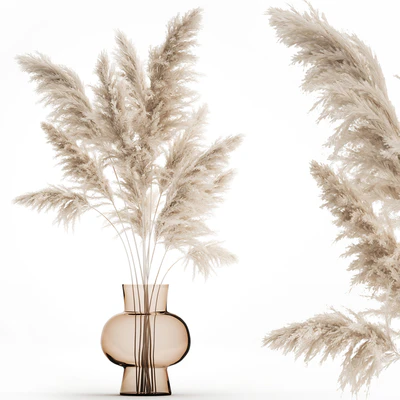 A beautiful lush bouquet of dried flowers in a vase with dry branches of pampas, Cortaderia, white reeds. 150. — Ver 1