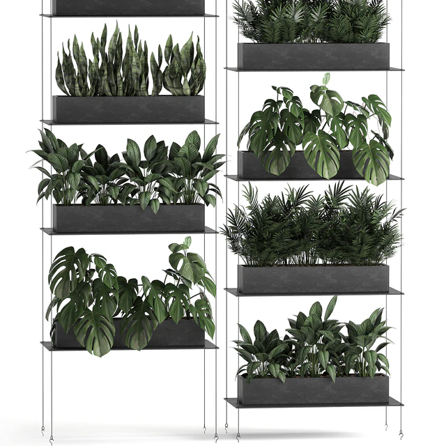 Vertical gardening of the home garden on a black flower shelf with a Monstera, a phytosten, a phytomodule. Set of 64 — Descargar