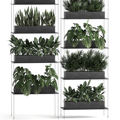 Vertical gardening of the home garden on a black flower shelf with a Monstera, a phytosten, a phytomodule. Set of 64 — Ver 4