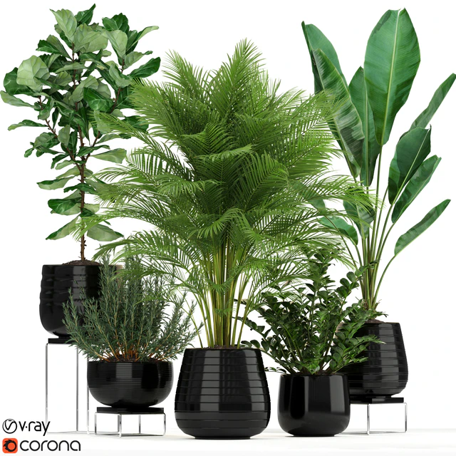 Plants collection 180 — Скачать
