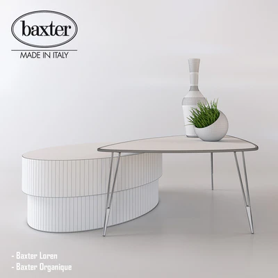 Baxter - Loren - Organique — Ver 2