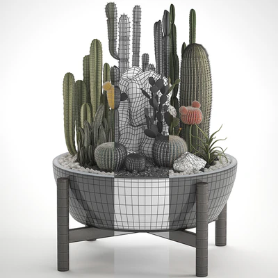 Plant collection 305. Cactus set, cacti, round cactus, flower bed, japanese, cereus, Barrel cactus, desert plants, Prickly pear — Ver 3