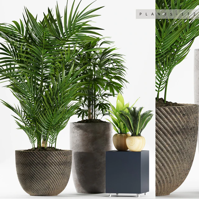 PLANTS 172 — Скачать