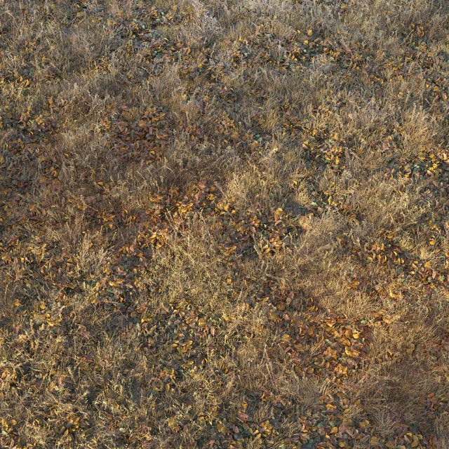 Dry autumn grass — Descargar