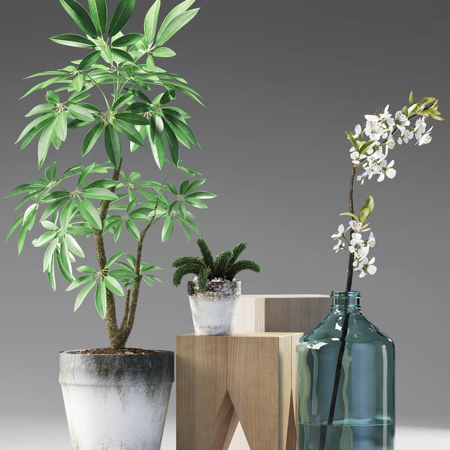 PLANTS 187 — Скачать