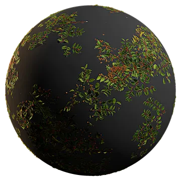 scattered fruit shrub 002 — Descargar
