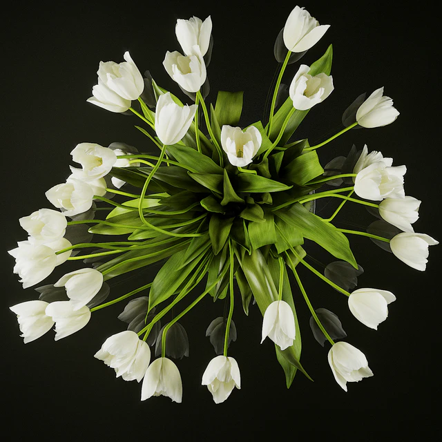 Tulips — Descargar