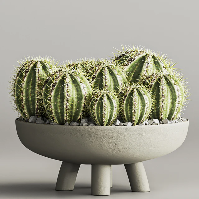 cactus & plant vol 03 — Descargar