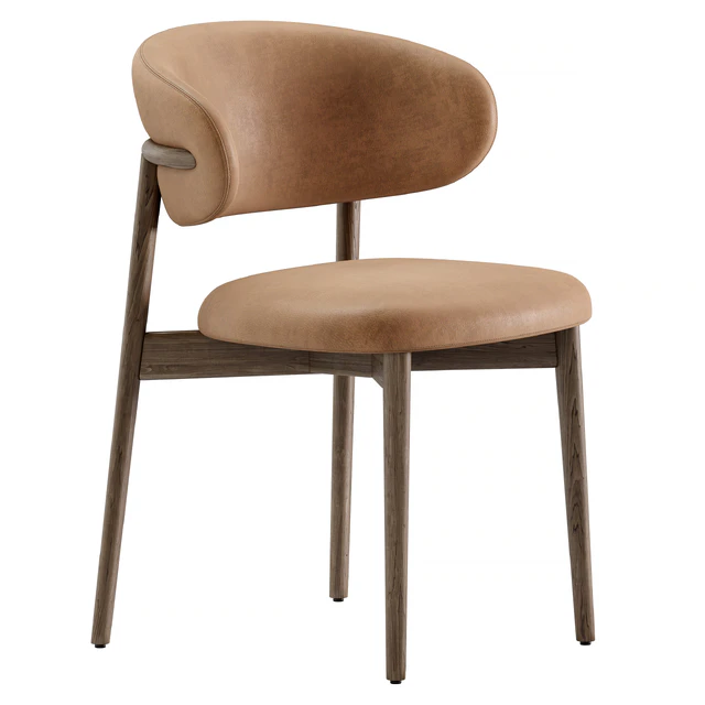 Dining chair Oleandro — Descargar
