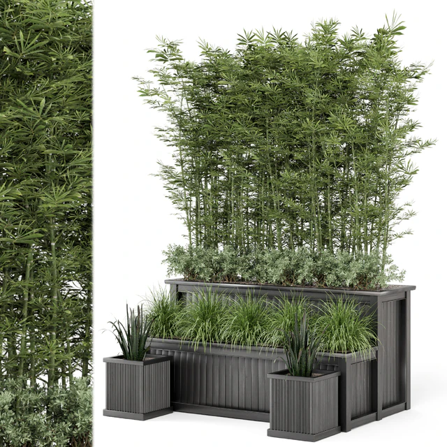 Outdoor Plants Bamboo and bush in Wooden Pot -Set 195 — Скачать