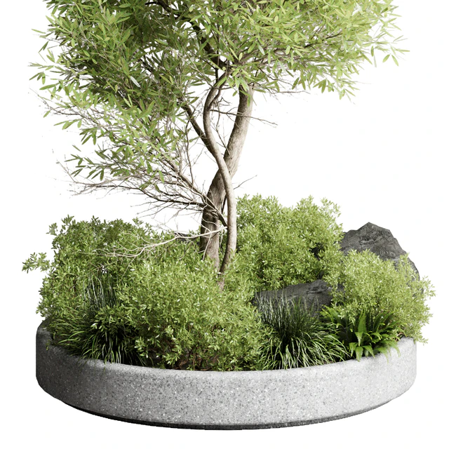 Collection outdoor indoor 85 pot plant & tree & bush — Descargar