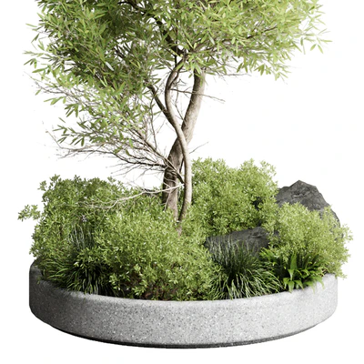 Collection outdoor indoor 85 pot plant & tree & bush — Ver 6