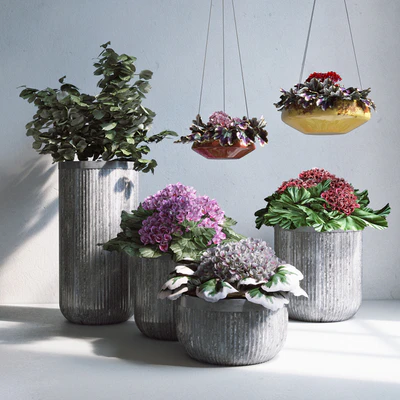 Pottery Barn Planters — Вид 1