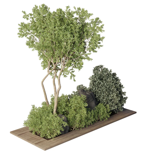 Collection Outdoor Indoor plant 67 green garden plant-tree-bush corona — Скачать