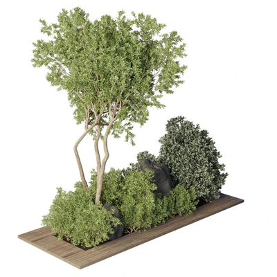 Collection Outdoor Indoor plant 67 green garden plant-tree-bush corona — Вид 5