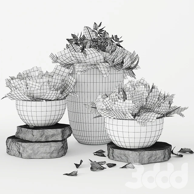 November — Descargar
