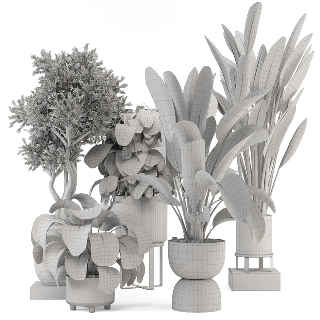 Indoor Plants in Ferm Living Bau Pot Large - Set 1204 — Descargar