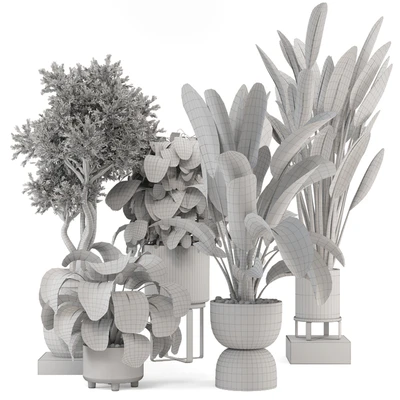 Indoor Plants in Ferm Living Bau Pot Large - Set 1204 — Ver 5