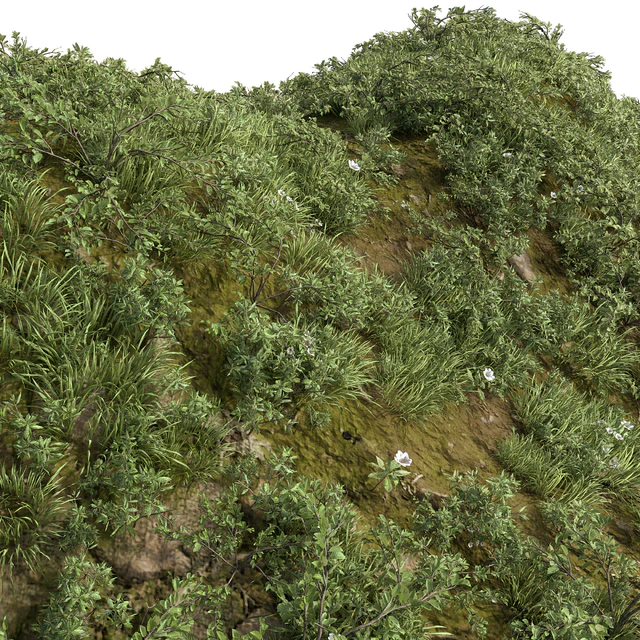 GRASS COLLECTION FOR LANDSCAPE NO12 — Скачать