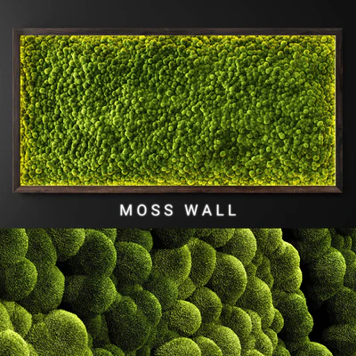 Moss wall 2 — Вид 1