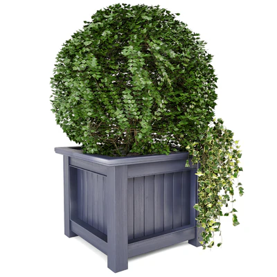 Outdoor Plants in Wooden Pot - Set 34 — Вид 5