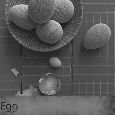 EggBowl — Ver 2