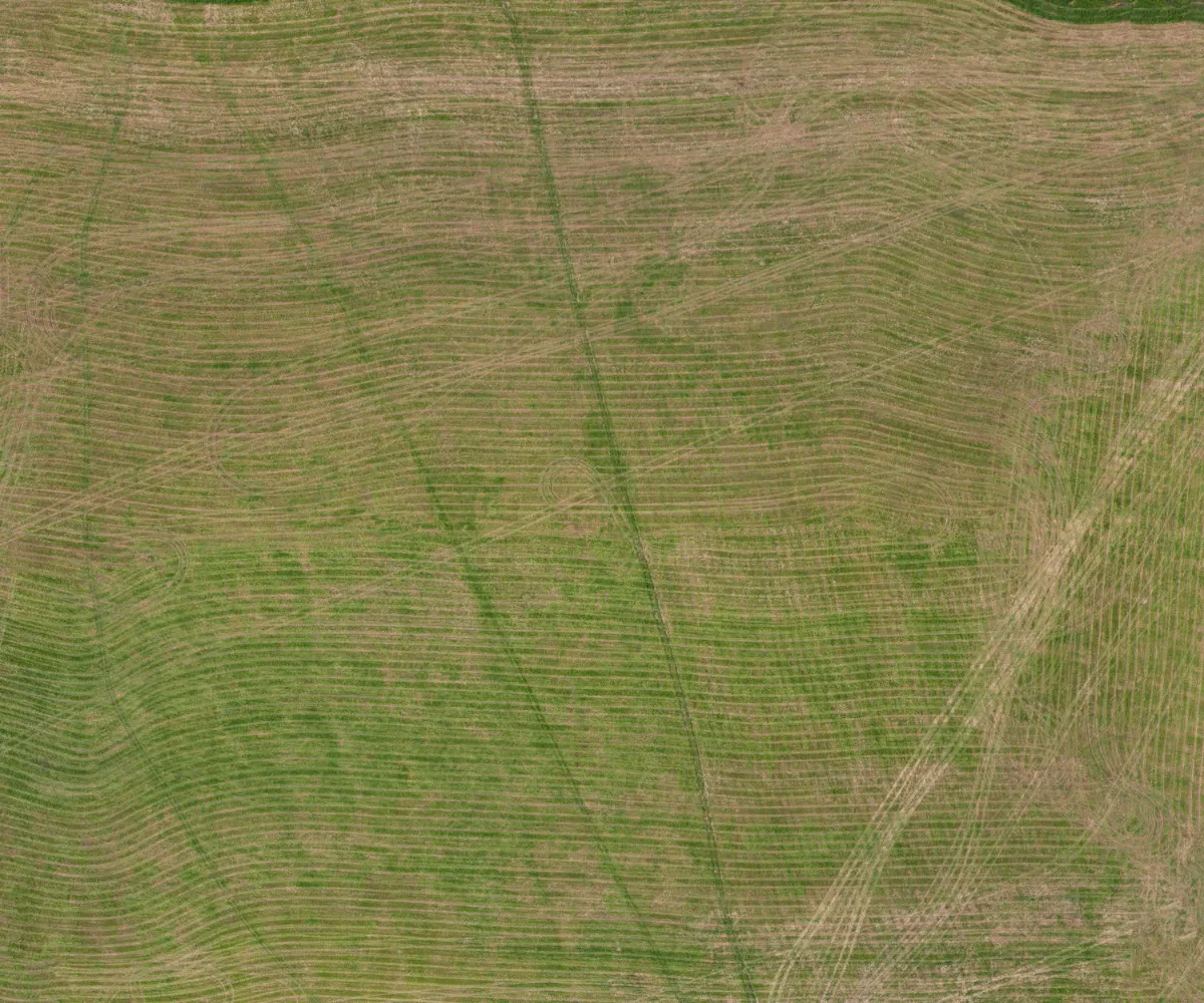 field summer 004 — Descargar