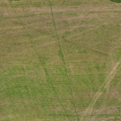 field summer 004 — Descargar