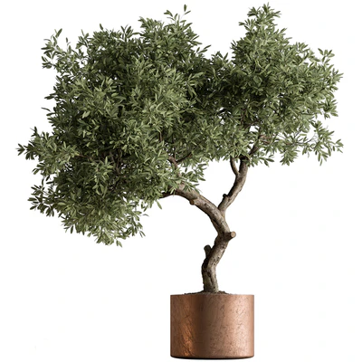 Indoor Plant 573 -Tree in Pot — Ver 1