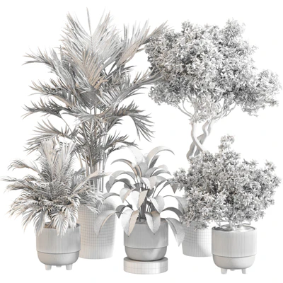 Indoor Plant Set 0123 — Ver 4