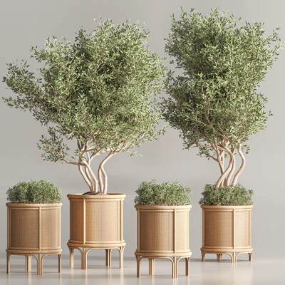 Indoor Plant Set 40 — Вид 5