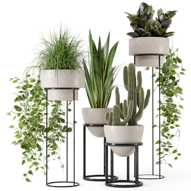 Indoor Plants in rusty Concrete Pot on Metal Shelf - Set 327 — Descargar