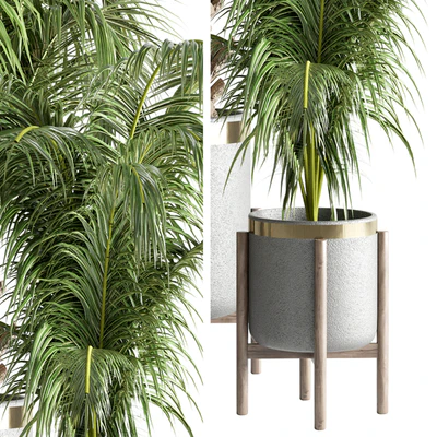 indoor plant 13 — Вид 4