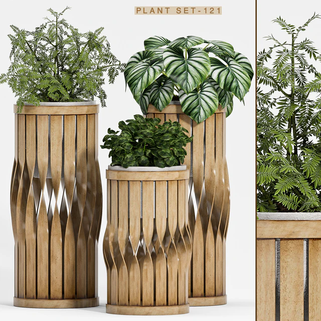 Plant set-121 — Descargar