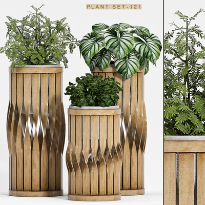 Plant set-121 — Ver 1