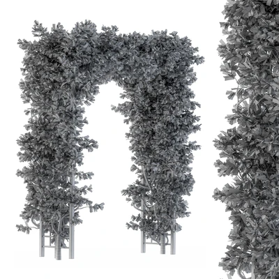 Outdoor Plant Set 121 - Pergola Ivy — Вид 4