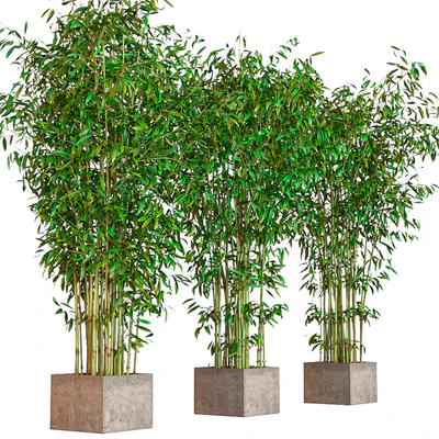 potted bamboo — Ver 2