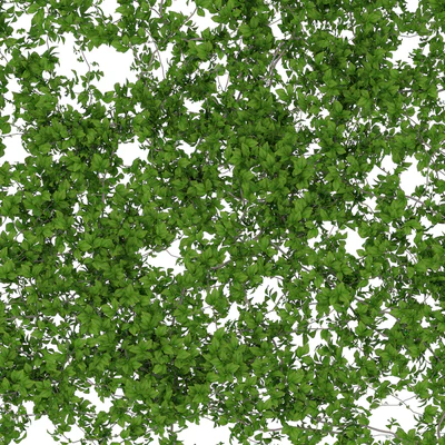 Стена из листьев — Вид 3