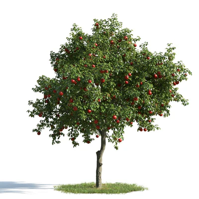 009 — Скачать