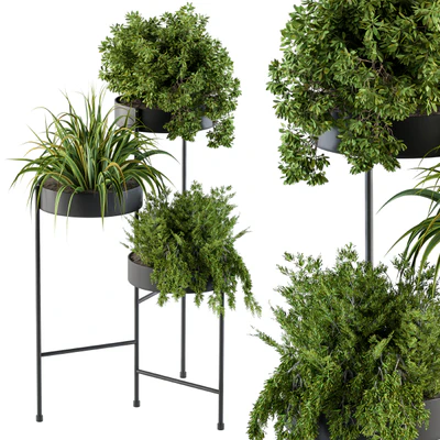 Black round plant box — Ver 1
