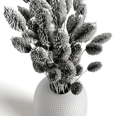 A bouquet of lagurus — Вид 5