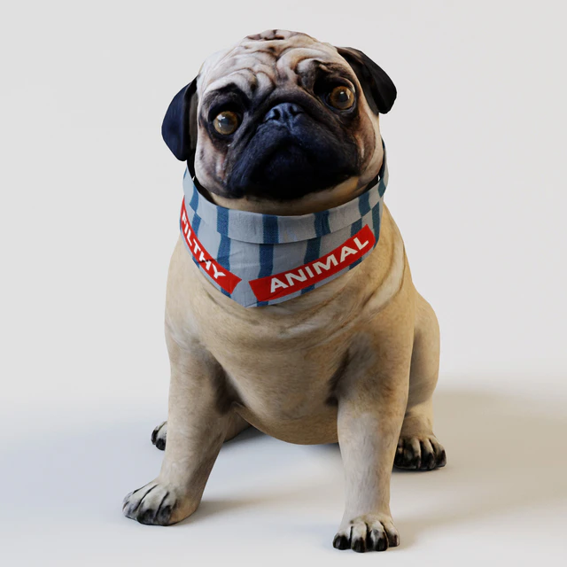 PUG — Descargar