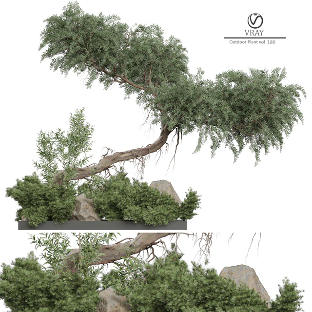Outdoor Plant 180 — Descargar