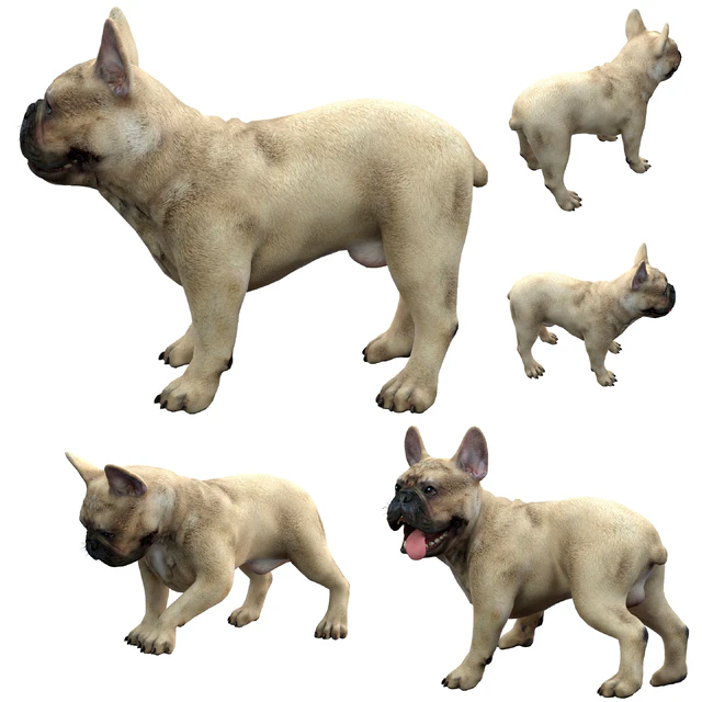 French Bulldog — Download