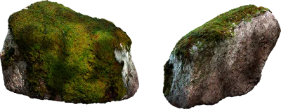 mossy rock 052 — Скачать