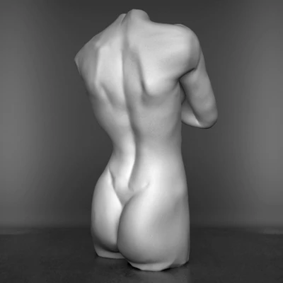 The torso of a female figure — Ver 2