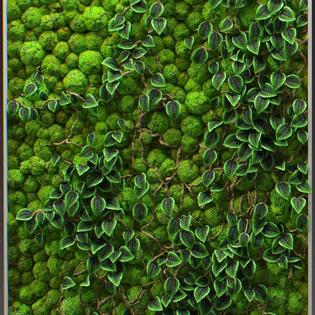 Fitowall — Скачать