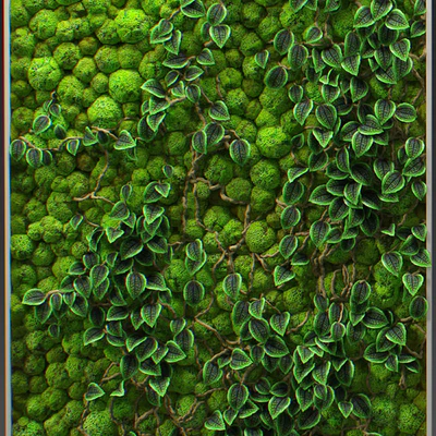 Fitowall — Вид 3
